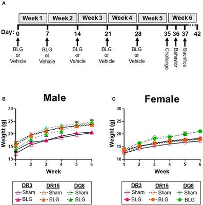 HLA-II Alleles Influence Physical and Behavioral Responses to a Whey Allergen in a Transgenic Mouse Model of Cow's Milk Allergy